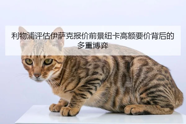 利物浦评估伊萨克报价前景纽卡高额要价背后的多重博弈